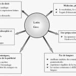schema-latin