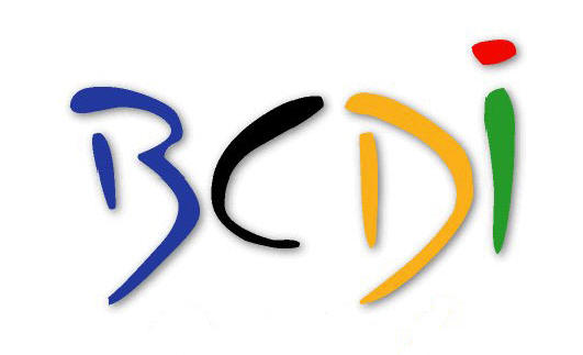bcdi