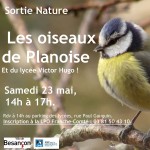 2015 05 23 Les oiseaux de mon quartier Planoise lycee VH-vignette